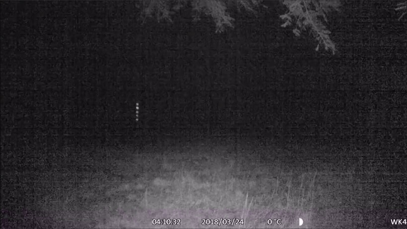 Strange lights in outdoor wildlife camera video from Denmark