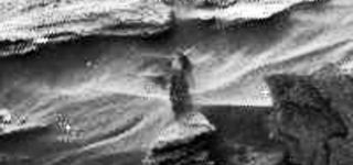 Alien ghost on Mars in NASA Curiosity rover image?