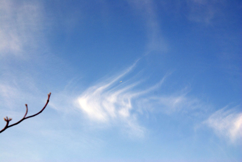Cirrus clouds or unknown type of cloud?