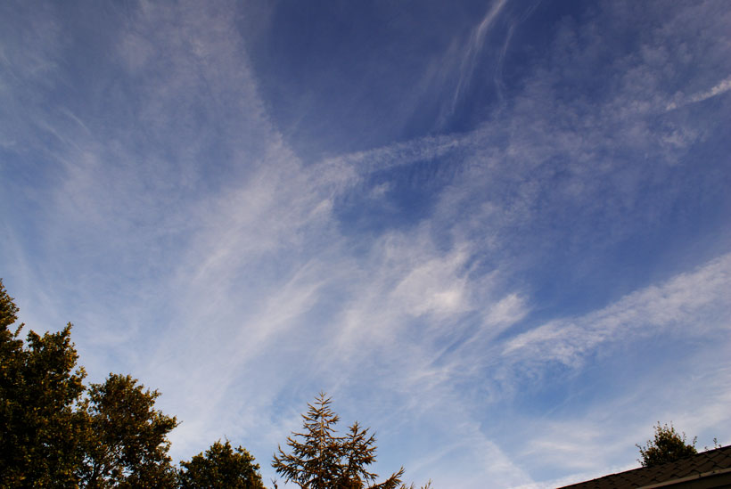 Condensation trails transforming to Cirrus clouds?