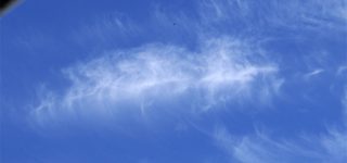 Condensation trail transforms into Sylph cloud?