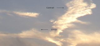 Aircraft contrail transforms into Cirrus cloud type