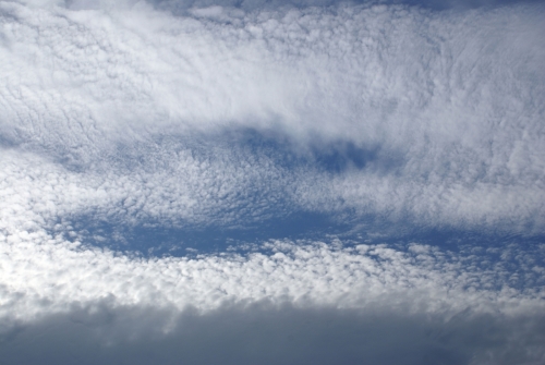 DSC00371-copyright - Cirrocumulus