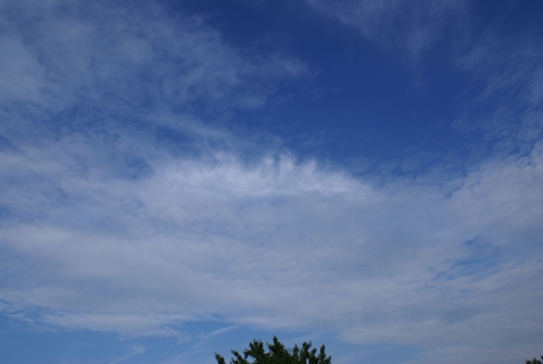 DSC00380-copyright - Cirrus