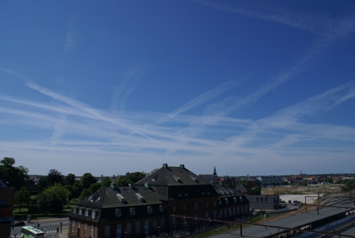 DSC00407-copyright