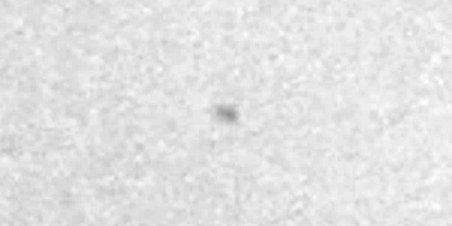 DSC00516-uap-2-005 White undefined UAP Grayscale Calculation (inverted)