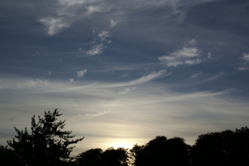 DSC00850-copyright