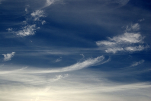 DSC00851-copyright