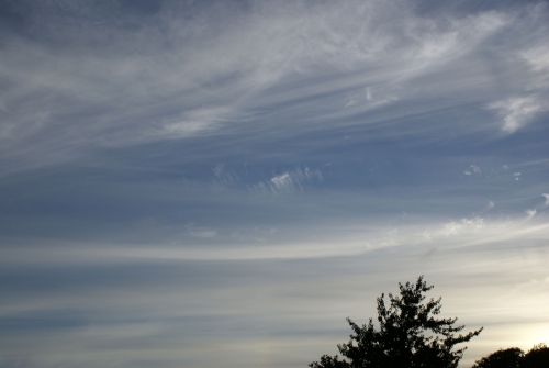 DSC00860-copyright