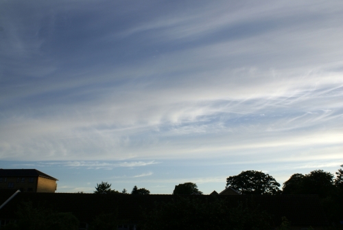 DSC00866-copyright