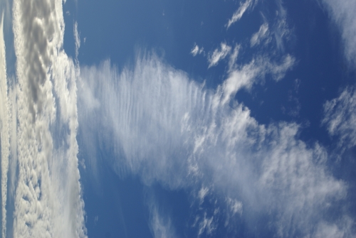 Contrail. Image turned 90 degrees DSC01950