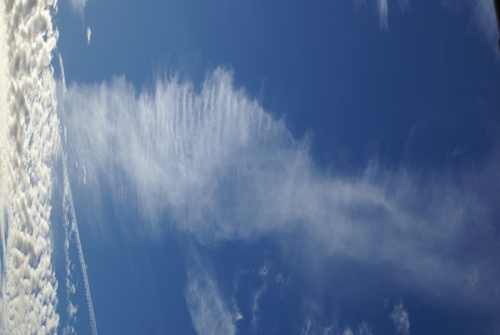 Contrail initiated dissolvement. Image turned 90 degrees DSC01955