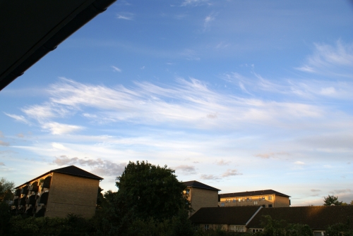 DSC02192-copyright