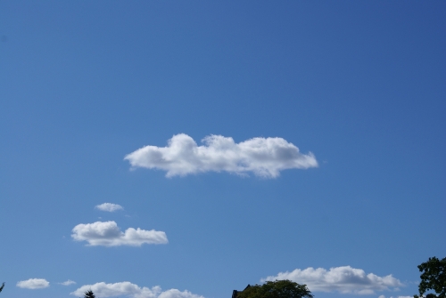 DSC02574-copyright