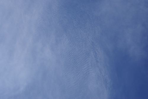 Spectacular Cirrocumulus clouds on September 1, 2009 DSC03857