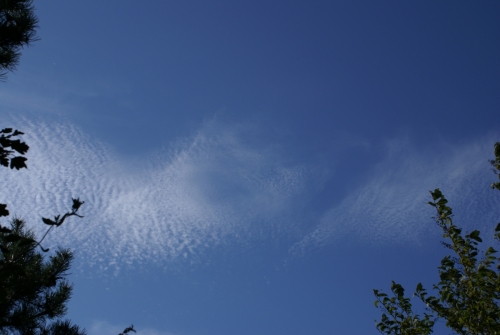 Spectacular Cirrocumulus clouds on September 1, 2009 DSC03864