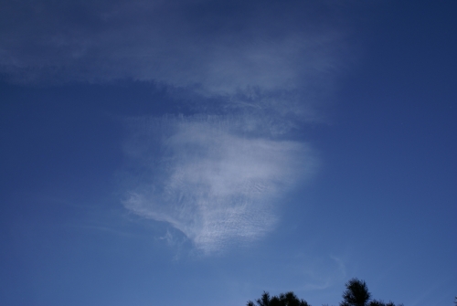 Spectacular Cirrocumulus clouds on September 1, 2009 DSC03865
