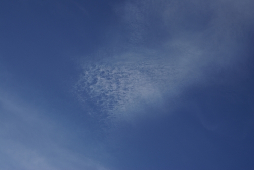 Spectacular Cirrocumulus clouds on September 1, 2009 DSC0385766