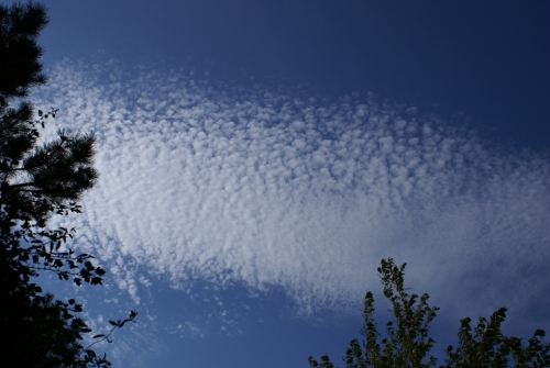 Spectacular Cirrocumulus clouds on September 1, 2009 DSC03868