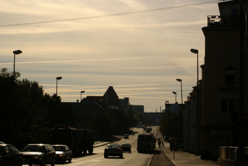 Contrails/chemtrails in the horizon DSC03986