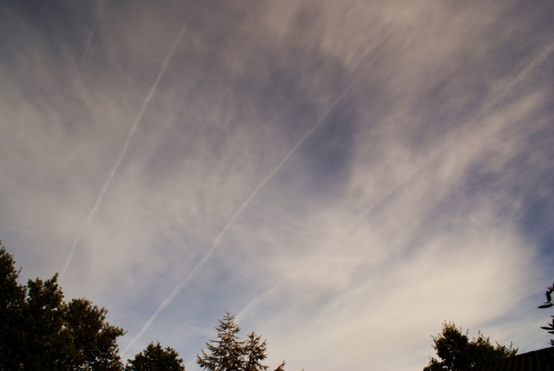 Contrails/Chemtrails side by side DSC04359