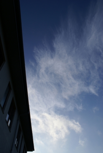 Odd contrail development DSC05046-copy