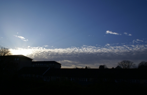 Altocumulus in the sunset DSC05139