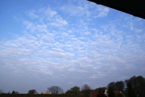 DSC05175-copyright