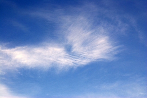 Cirrocumulus clouds DSC06748