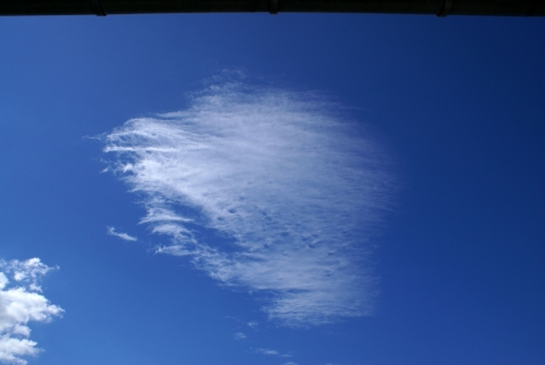 DSC06776-copyright