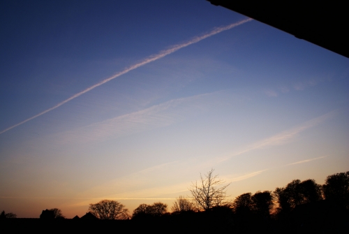DSC06979-copyright - Brightness / Contrast