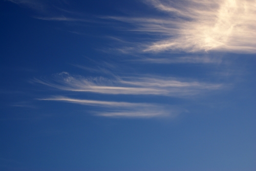 DSC07008-copyright