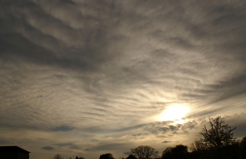 Altocumulus DSC08660