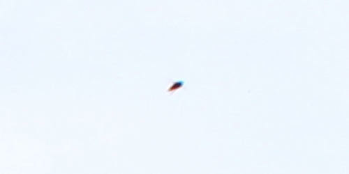 canon-eos-60d-insect-05