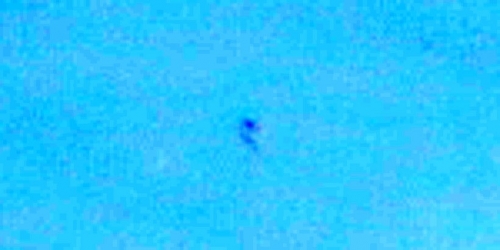 img6021-ufo-uap-object-2b-contrast-brightness