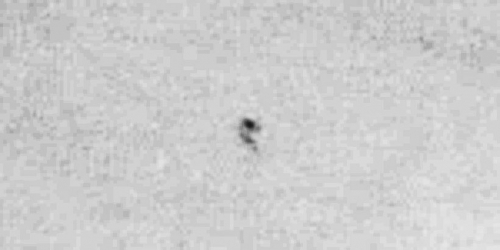img6021-ufo-uap-object-2d-contrast-brightness-grayscale